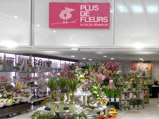 Fleurs 1.jpg